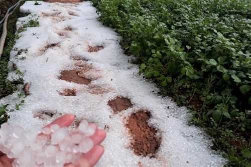 Mưa đá lớn chưa từng có, xối xả đổ xuống Đà Lạt