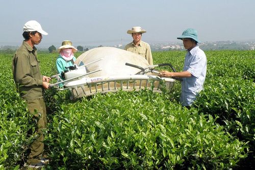 Bài 1: Quyết tâm chính trị