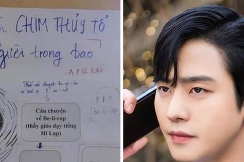 Loài chim 'hot' nhất tháng 3 này được dân mạng đồng loạt gọi tên... Chim Thủy Tổ!