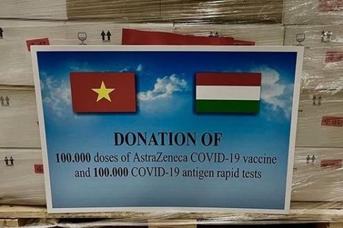Covid-19: Hungary trao tặng 156.000 liều vaccine AstraZeneca cho Việt Nam