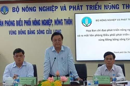 Cần Thơ: Văn phòng Điều phối nông nghiệp, nông thôn vùng ĐBSCL được ra mắt