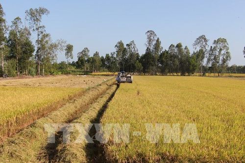 Địa phương không 'tự đi lối riêng' mà cần kết nối đồng bằng để vươn xa