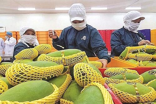 Tận dụng FTA, doanh nghiệp gặp khó vì rào cản kỹ thuật