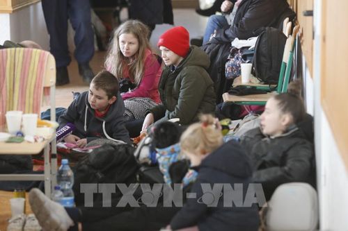 Các nước EU yêu cầu công dân không can dự vào xung đột tại Ukraine