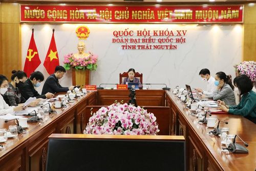 Thảo luận về dự án Luật Điện ảnh và Luật Kinh doanh bảo hiểm