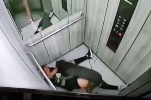 Dắt chó cưng vào thang máy chung cư, cô gái trở ra với bộ dạng đẫm máu thảm thương, cảnh quay diễn biến sự việc từ camera gây sốc
