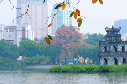 Hà Nội mùa hoa gạo