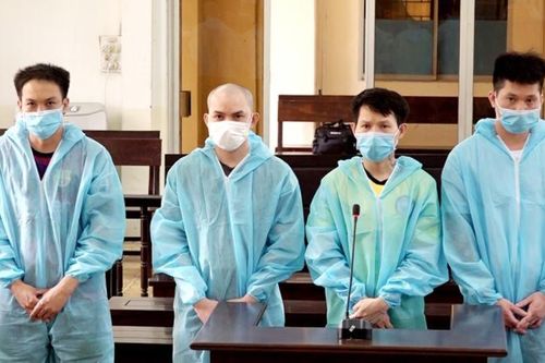 Nhóm đối tượng mua bán và tàng trữ ma túy lãnh trên 56 năm tù