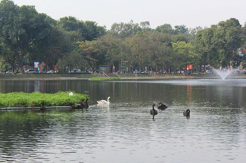 Đề xuất đưa phố đi bộ hồ Thiền Quang vào hoạt động