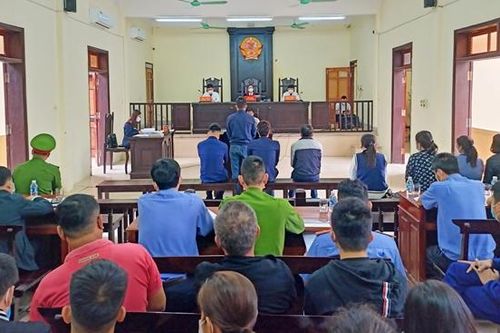 Xét xử rút kinh nghiệm vụ án 'Vi phạm quy định về bảo vệ động vật nguy cấp, quý, hiếm'