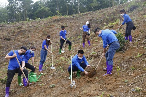 Tuyên Quang: Đoàn Thanh niên TTXVN về nguồn và tặng quà tại Trung Yên