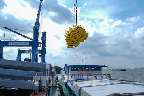 Điểm gì khiến Đồng bằng sông Cửu Long phát triển chưa xứng tiềm năng