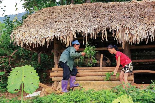 Giảm nghèo bền vững: Cần thay đổi cách hỗ trợ người nghèo