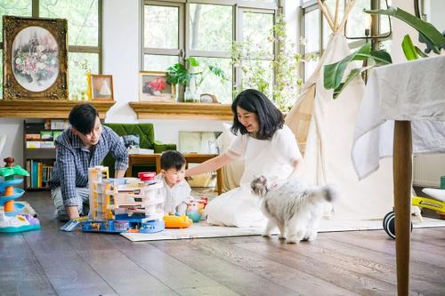 Gia đình trẻ cải tạo ngôi nhà rộng 185m² biến thành tổ ấm dịu dàng đầy nắng và cây xanh