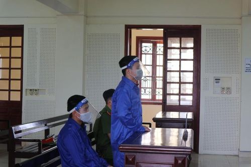 Rủ nhau buôn ma túy, đôi bạn 'chia nhau' 31 năm tù