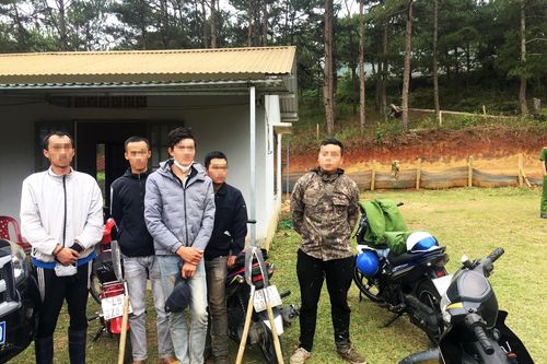 Bắt nhóm lâm tặc tàn phá rừng phòng hộ ở Đà Lạt