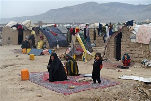 'Người Afghanistan buộc phải bán con và bộ phận cơ thể để lấy tiền'