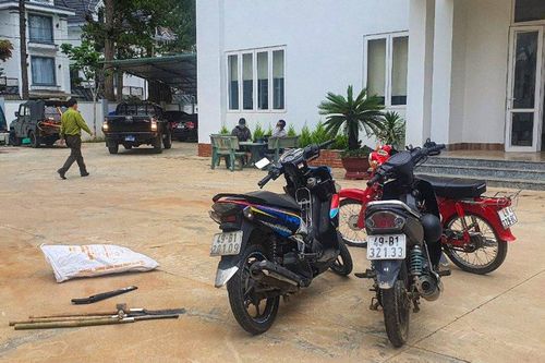 Lâm Đồng: Bắt quả tang 5 đối tượng chặt phá rừng phòng hộ