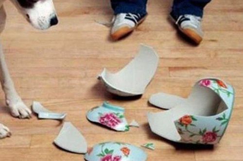 Con gái làm vỡ bình quý, không ngờ lộ bí mật cha giấu hơn chục năm
