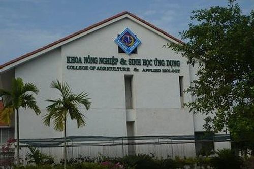 Nhà khoa học nữ Trường Đại học Cần Thơ đạt Giải thưởng Kovalevskaia năm 2021