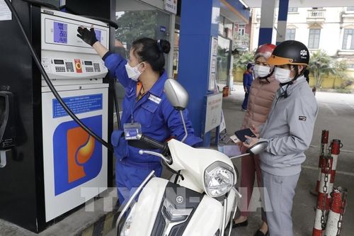 Nghị quyết về mức thuế bảo vệ môi trường đối với xăng, dầu, mỡ nhờn