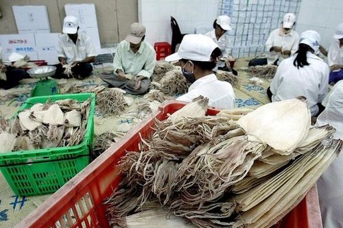 4 loài thủy vào Nhật Bản phải có chứng nhận khai thác