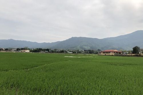 Quốc hội yêu cầu xử lý nghiêm tình trạng lãng phí đất đai