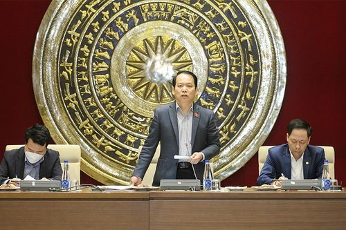 Thường trực Ủy ban Pháp luật thẩm tra sơ bộ dự án Luật Thanh tra (sửa đổi)