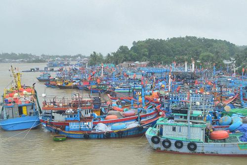 Quảng Ngãi cấm tàu, thuyền ra biển hoạt động từ 15 giờ ngày 1/4