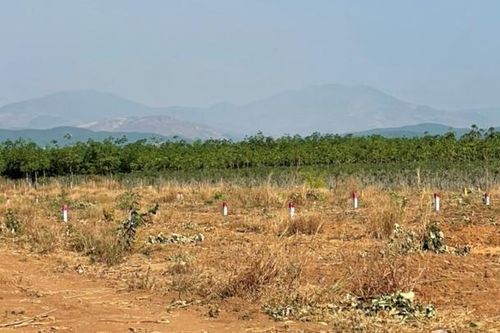'Cò' tự ý phân lô, rao bán đất mà chủ nhà không hề hay biết