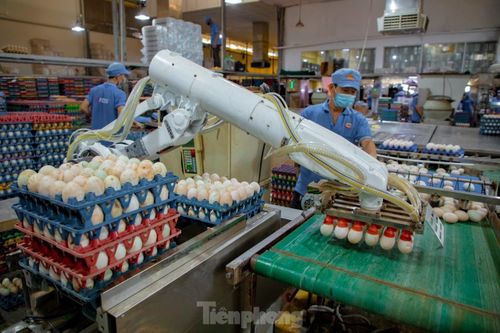 Những mặt hàng nào sẽ tăng giá từ 2/4?
