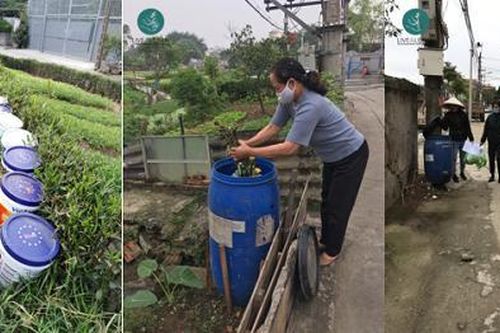 Xử lý rác tại nhà giúp giảm tới 70% khối lượng rác mỗi hộ gia đình