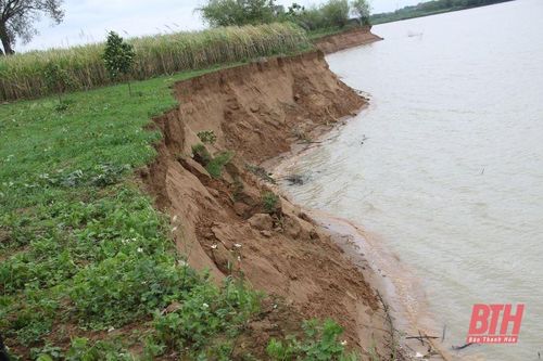 Phó Chủ tịch UBND tỉnh Lê Đức Giang kiểm tra điểm sạt lở bãi sông Chu thuộc địa bàn huyện Thiệu Hóa