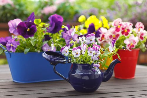 12 ý tưởng nhỏ nhưng cực hay để bạn tha hồ làm vườn trong nhà nhỏ