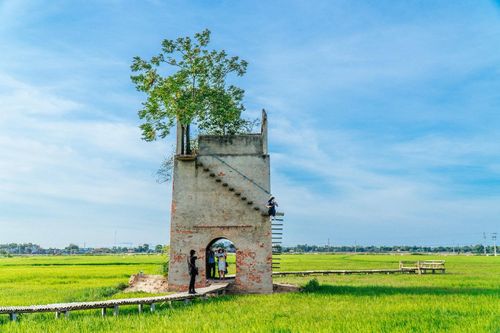 Quán cà phê ngắm đồng lúa ở Hội An
