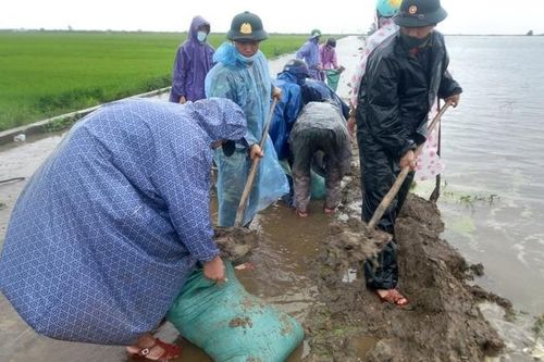 Thừa Thiên - Huế: Bộ đội dầm mưa giúp dân đắp đê cứu lúa