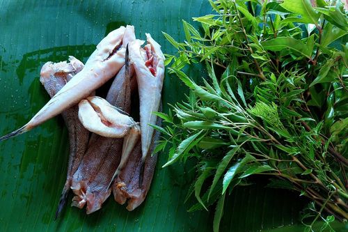 Thơm ngon cá suối