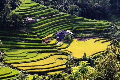 Du lịch Hà Giang tháng 4 có gì thú vị?