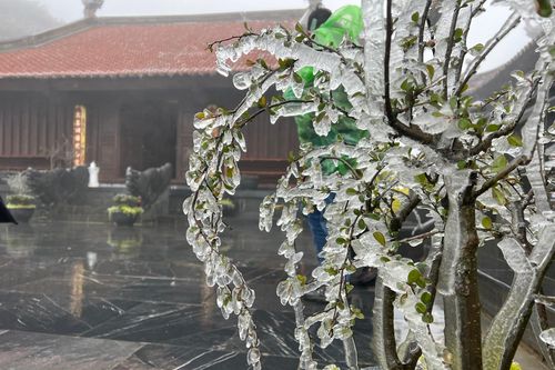 Băng tuyết bất ngờ phủ trắng 'nóc nhà Đông Dương'