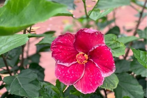 Chồng ghen cùng cực, vợ bế tắc: 'Chuyện đó xảy ra rồi, giờ sao? Ly hôn đi'