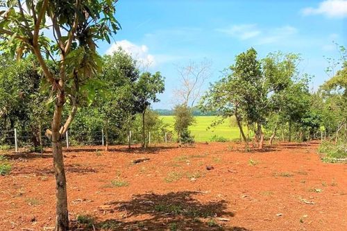 Dựng chòi trên đất 'view' ruộng, sông, suối: Tự nhận 'cháu của cây tùng, cây bách'