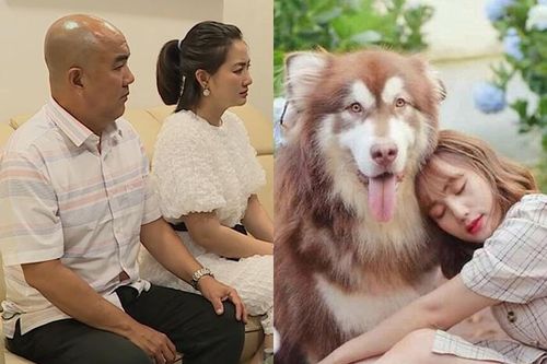 Ngọc Lan ngỡ ngàng với cơ ngơi 'khủng', quá khứ đau lòng của cô chủ chú chó triệu view
