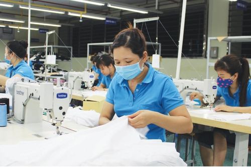 Chưa tính tiền chậm nộp nếu số thuế tạm nộp 3 quý chưa đủ 75%