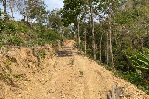 Đắk Lắk: San ủi đất trái phép 'sát nách' trụ sở xã