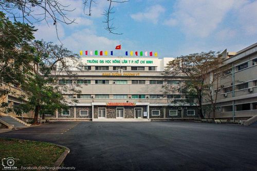 Israel tìm thấy thi thể nghi sinh viên đại học Nông Lâm TPHCM mất tích 6 năm trước