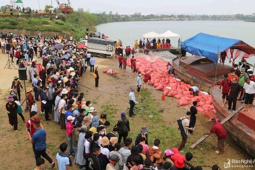 Chùa Viên Quang phóng sinh 12 tấn cá xuống sông Lam