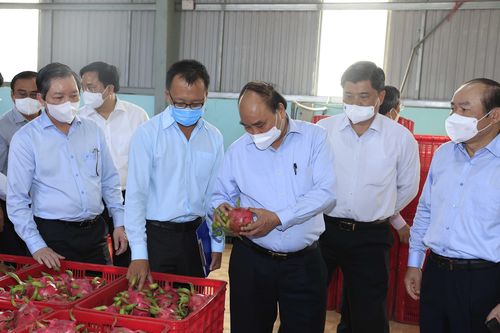 Hình ảnh hoạt động của Chủ tịch nước tại tỉnh Tiền Giang