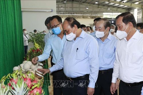 Chủ tịch nước thăm mô hình hợp tác xã tiêu biểu của tỉnh Tiền Giang