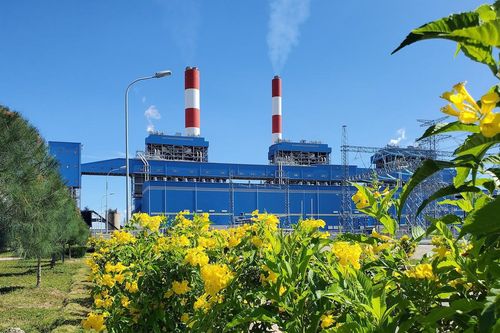Nhu cầu nhập khẩu than năm 2022 lên tới 25 triệu tấn