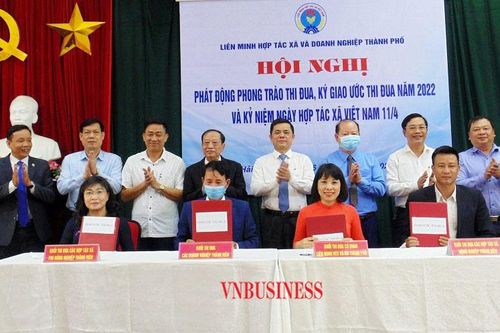 Khen thưởng kịp thời cá nhân, tập thể có thành tích trong xây dựng KTTT, HTX